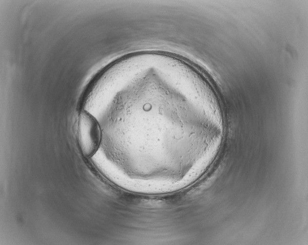 X0000115061509200911161557