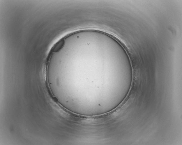 X0000115061510200911161557