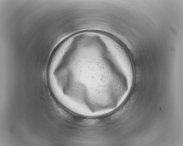 X0000115061513200911161557