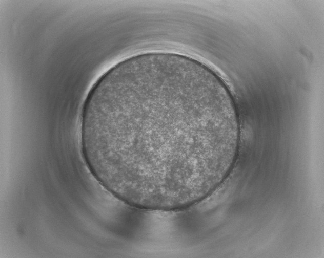 X0000115061514200911161557