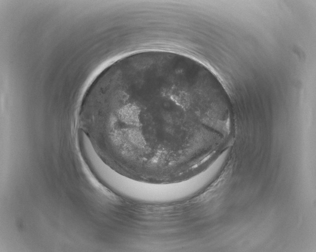 X0000115061515200911161557