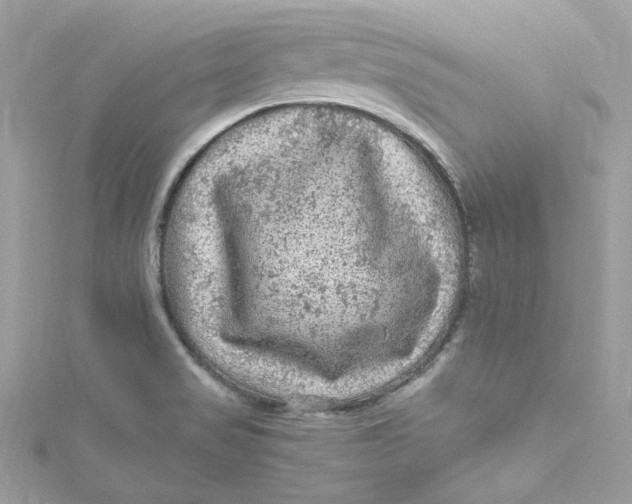 X0000115061517200911161557