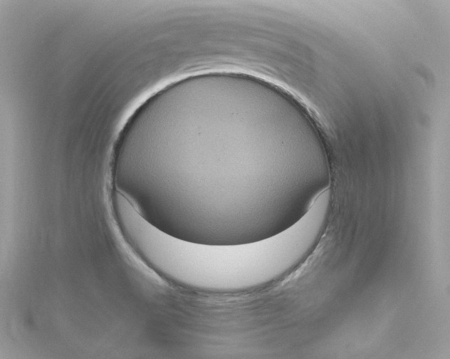 X0000115061518200911161557