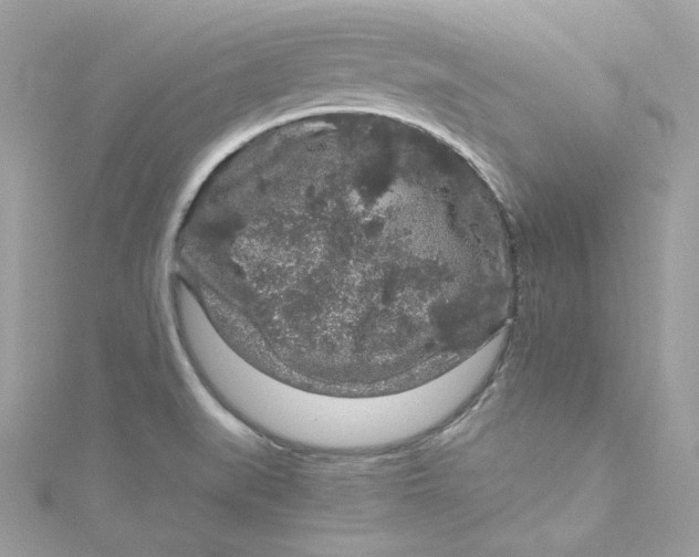 X0000115061519200911161557