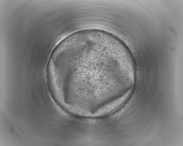 X0000115061521200911161557