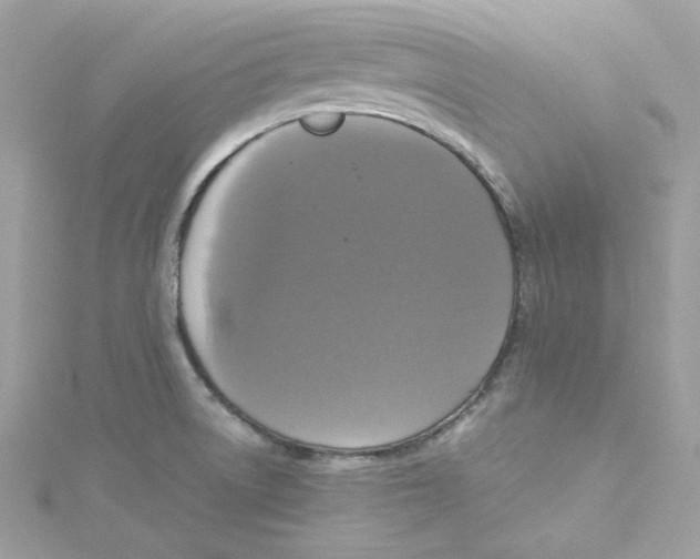 X0000115061522200911161557