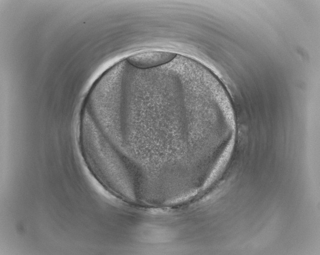 X0000115061523200911161557