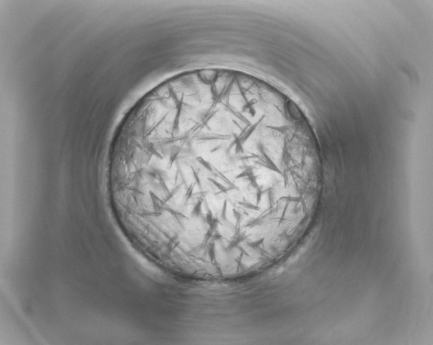 X0000115061525200911161558