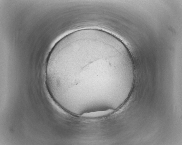 X0000115061526200911161558