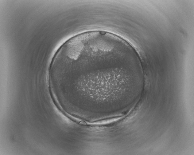 X0000115061527200911161558