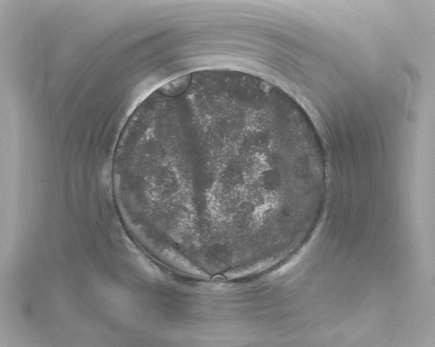 X0000115061529200911161558