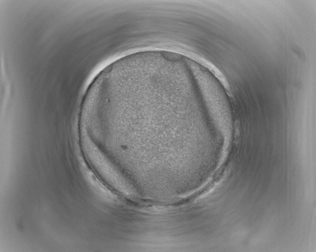 X0000115061530200911161558