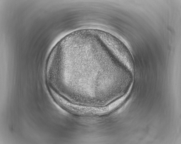 X0000115061533200911161558