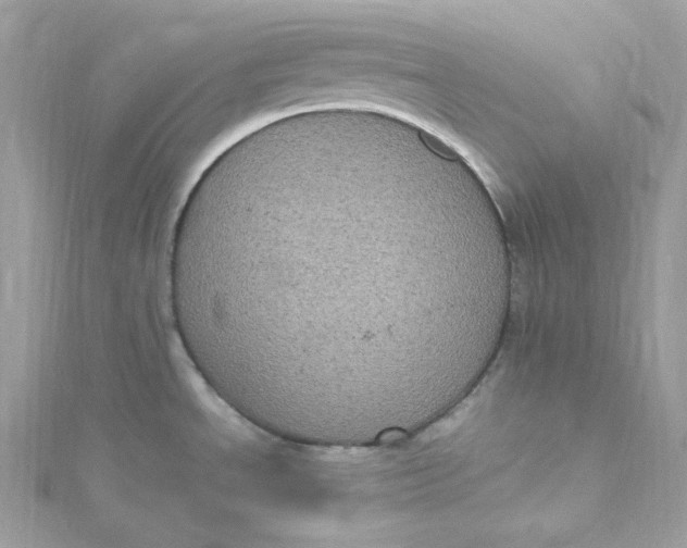 X0000115061534200911161558