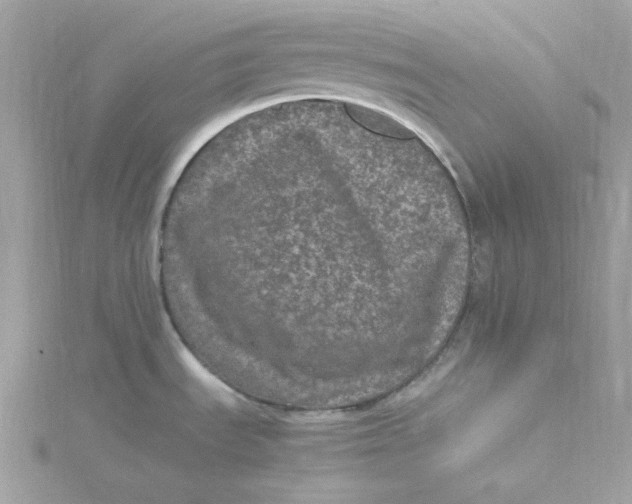 X0000115061535200911161558