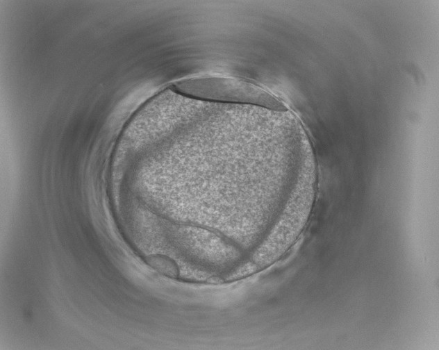 X0000115060001200911231224