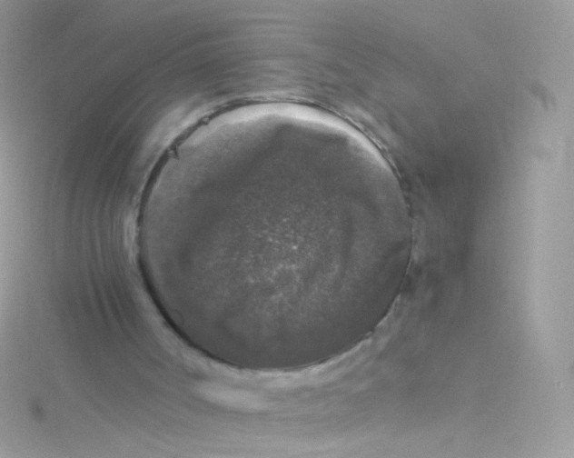 X0000115060002200911231224