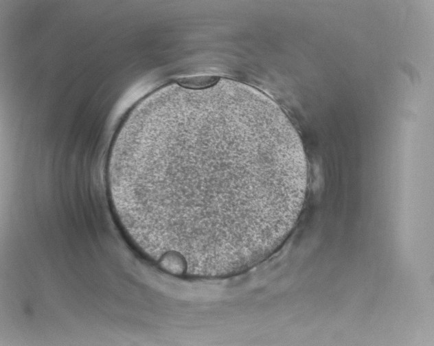 X0000115060004200911231224