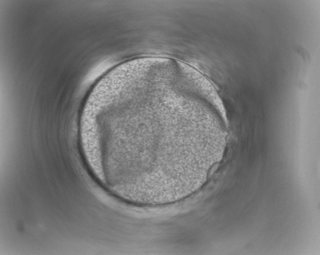 X0000115060005200911231224