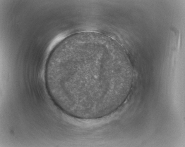 X0000115060006200911231224