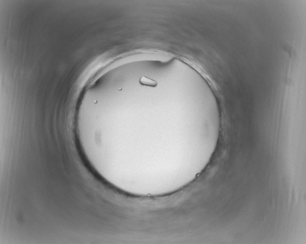 X0000115060007200911231224