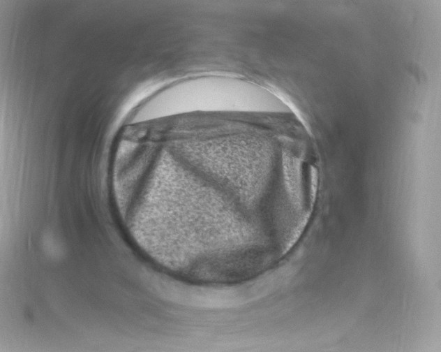 X0000115060008200911231224