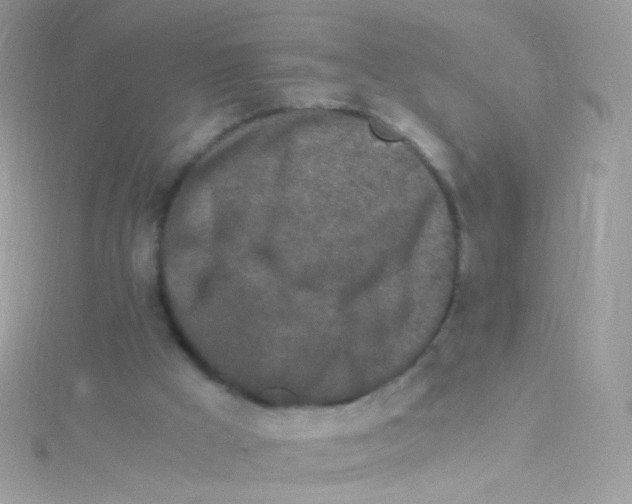 X0000115060009200911231224