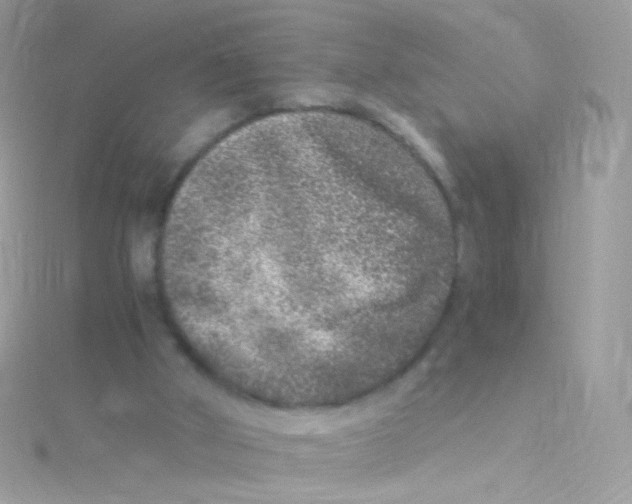 X0000115060010200911231224