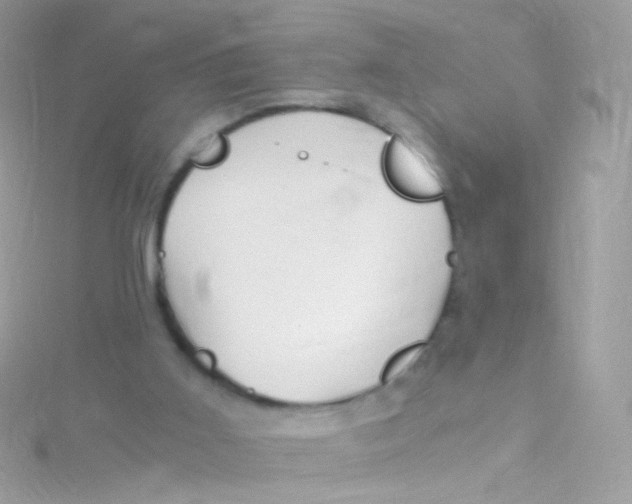 X0000115060011200911231224