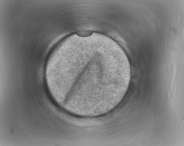 X0000115060012200911231224