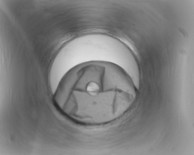 X0000115060013200911231224