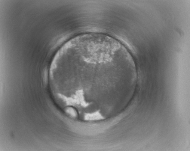 X0000115060014200911231224