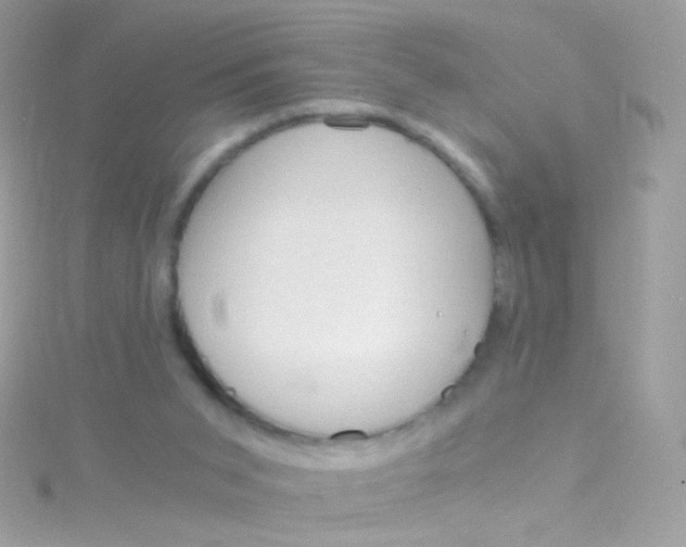 X0000115060015200911231224