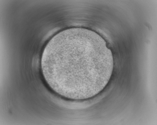 X0000115060016200911231224