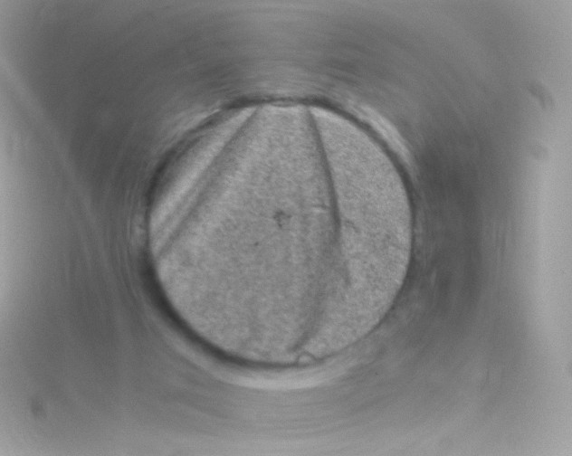 X0000115060017200911231224