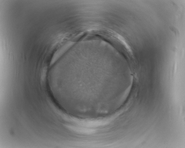 X0000115060018200911231224