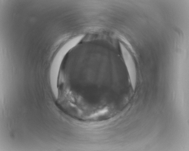 X0000115060019200911231224