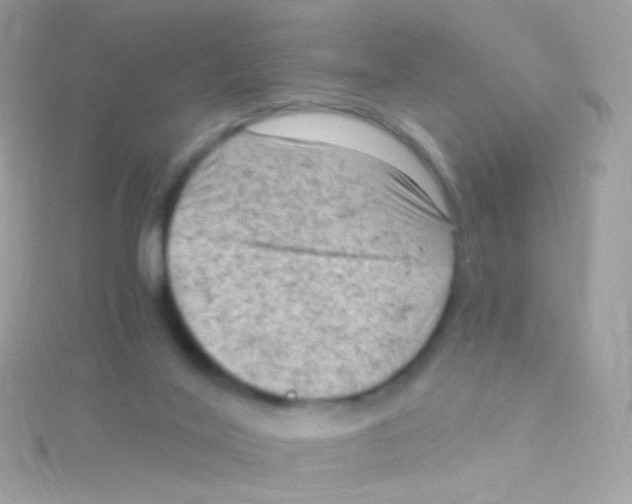 X0000115060020200911231224