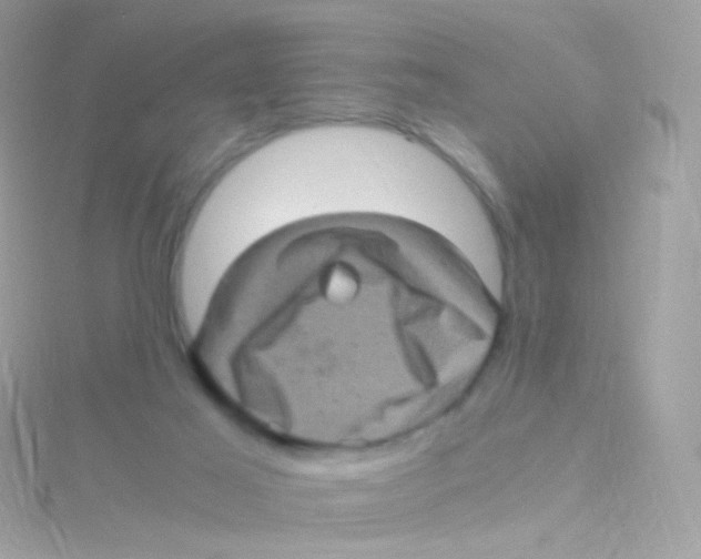 X0000115060021200911231224