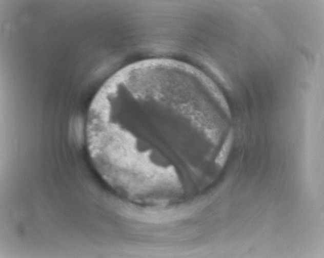 X0000115060022200911231224