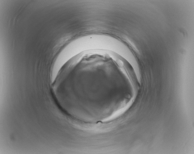 X0000115060023200911231224