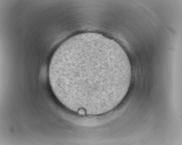 X0000115060024200911231224