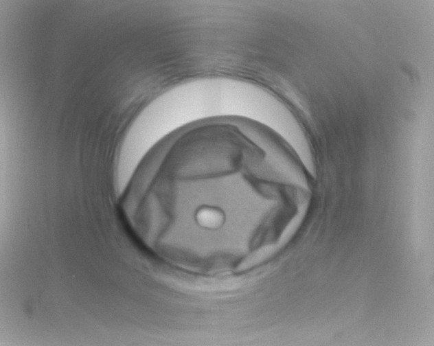 X0000115060027200911231224