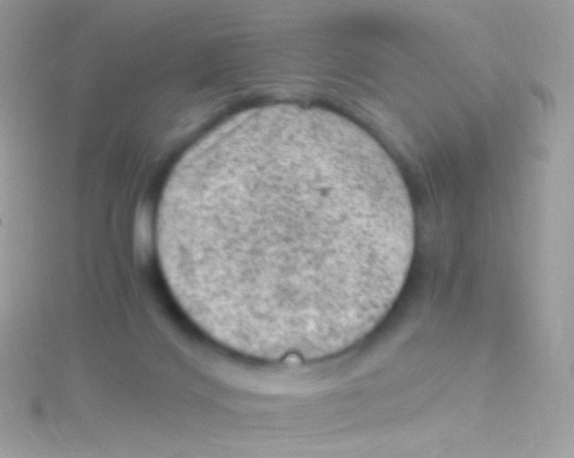 X0000115060028200911231224