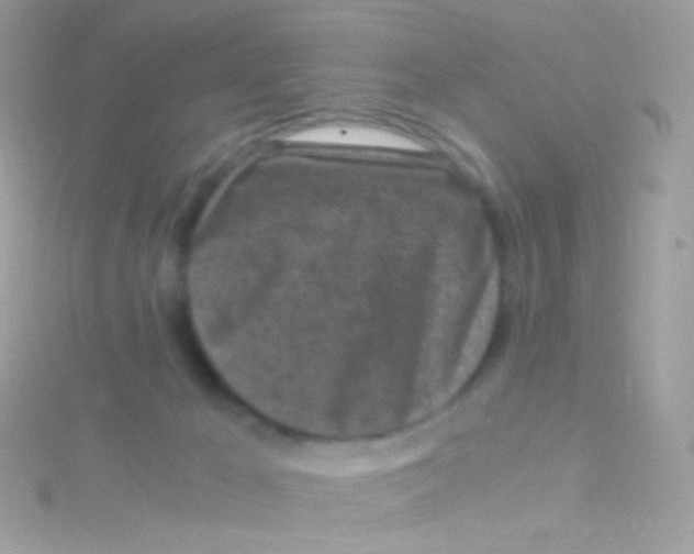 X0000115060029200911231224