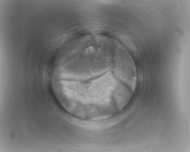 X0000115060030200911231224