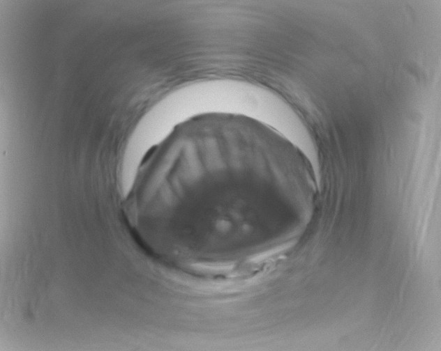 X0000115060031200911231224