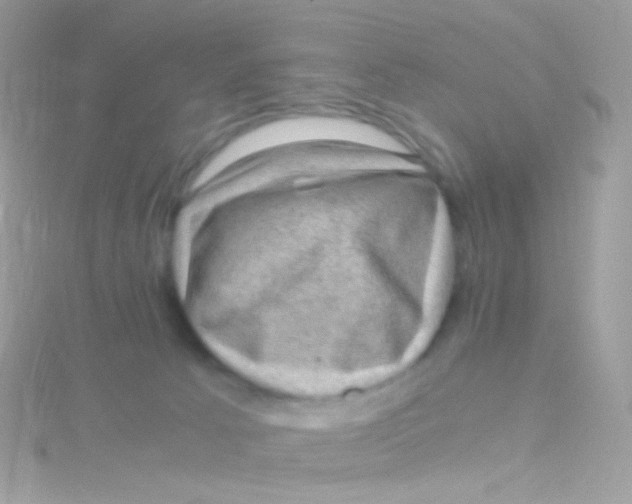 X0000115060033200911231224