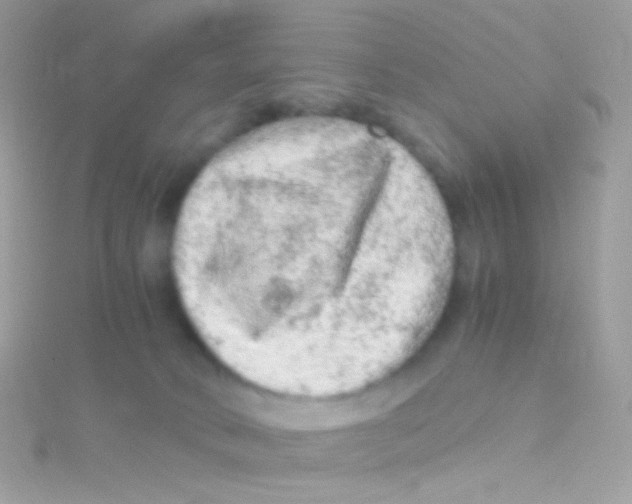 X0000115060034200911231224