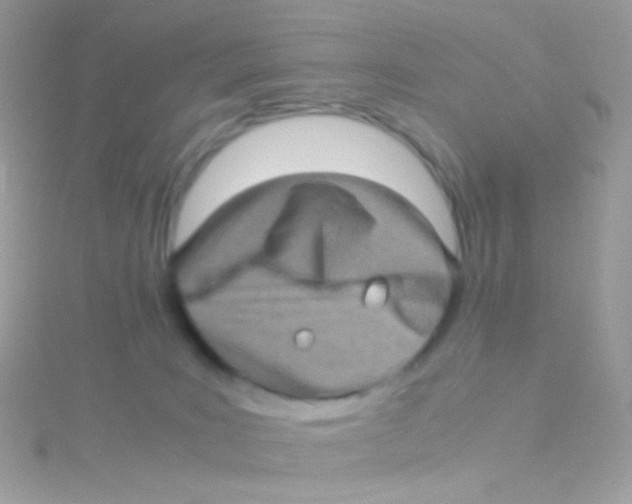 X0000115060035200911231224